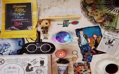 14 Potterheads Shared With Us Their Harry Potter Collection